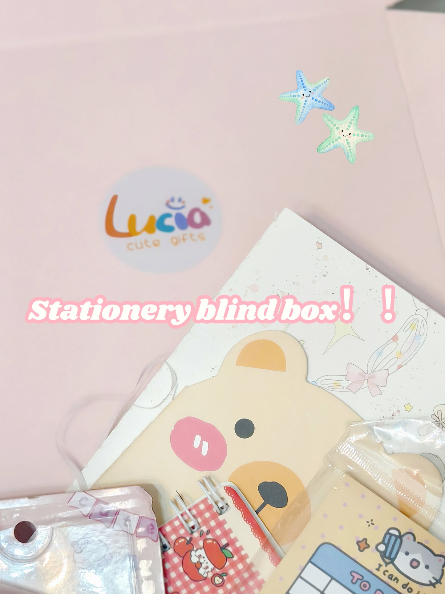 Lucia Mystery Candy--Stationery Blind Box BACK TO SCHOOL!